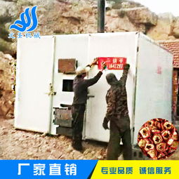 環保高效食品烘干爐與新型山楂加工設備 臨朐文圣機械設備廠的專業制造